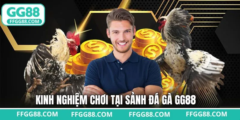 Chiến thuật kinh nghiệm bất bại thắng lớn khi tham gia đá gà 