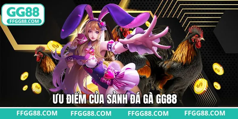 Ưu điểm hấp dẫn khi người dùng tham gia sảnh đá gà GG88 